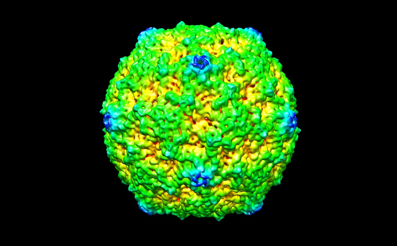 Žmogaus Pikornavirusas B3, Virusas, Žmogus, Rna, 3D, Medicinos, Liga, Infekcija, Medicina, Mokslinis