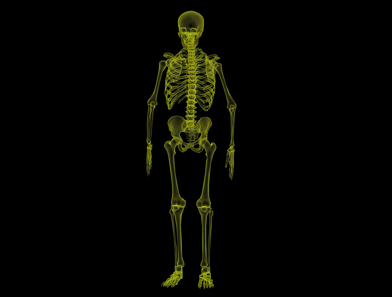 Žmogaus Karkasas, Anatomija, Kaulai, Skeletas, Medicinos, Kūnas, Mokslas, Sveikata, Medicina, Rentgeno Spinduliai