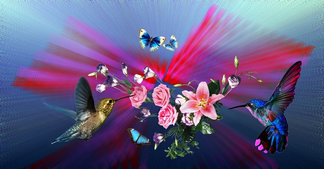 Hummingbirds, Gėlės, Lelijos, Rožės, Gamta, Beija Flor, Paukščiai, Pavasaris, Sodas, Augalas