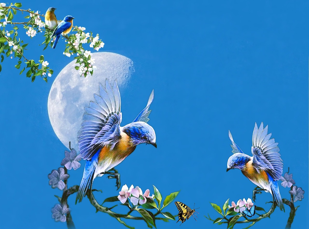 Hummingbirds, Kolibris, Mėnulis, Paukščiai, Dangus, Mėlynas Dangus, Mėlynas, Diena, Gėlės, Gėlė