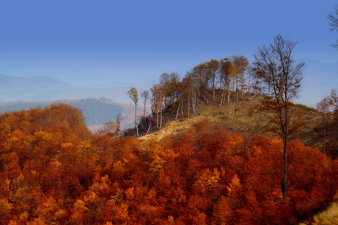 Vengrija, Mátra Kalnai, Kraštovaizdis, Rudens Žiburiai, Rudens Miškas, Kalnai, Grožis, Lapai, Nemokamos Nuotraukos,  Nemokama Licenzija