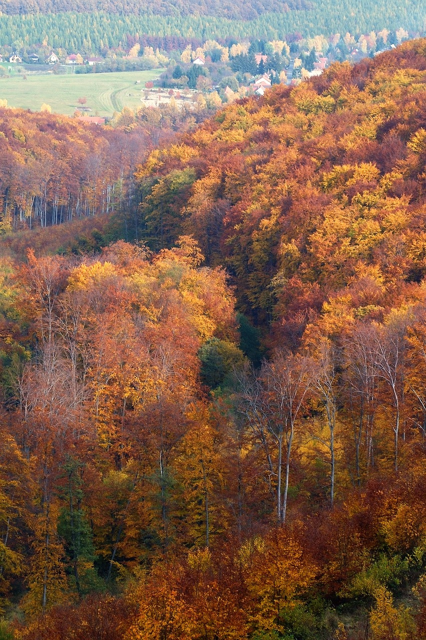 Vengrija, Mátra Kalnai, Kraštovaizdis, Rudens Žiburiai, Rudens Miškas, Kalnai, Grožis, Lapai, Pásztó, Nemokamos Nuotraukos