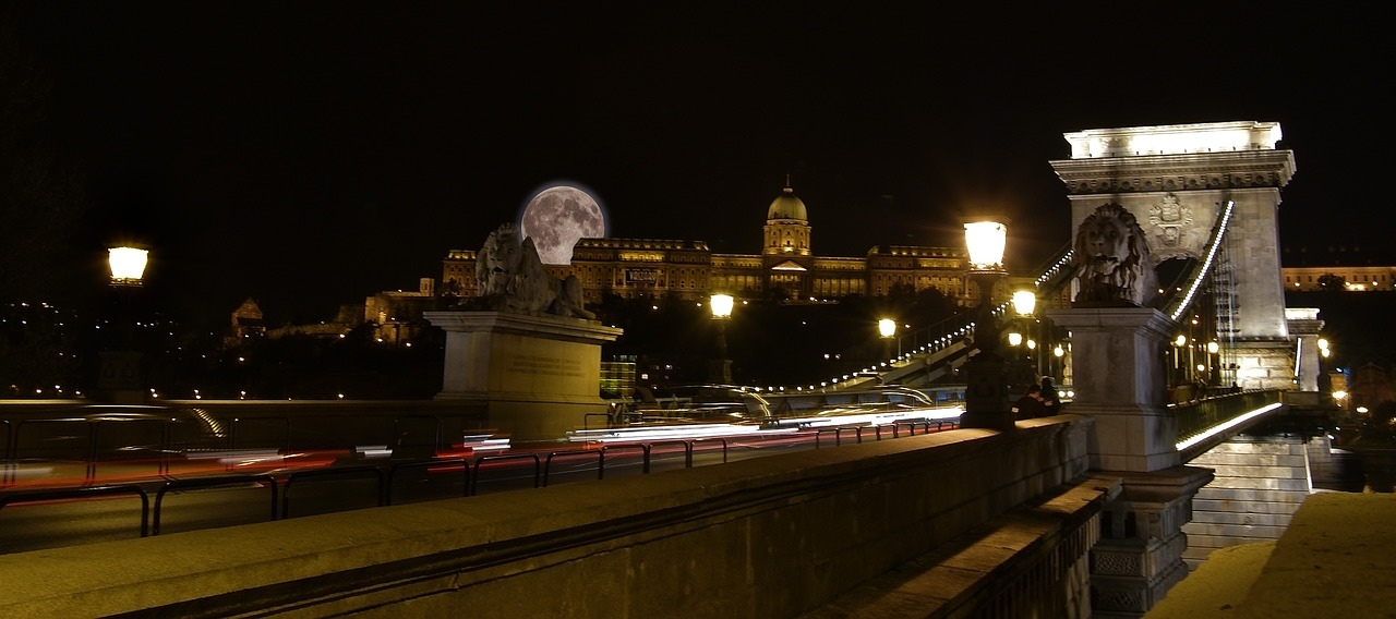 Vengrija, Budapest, Grandinės Tiltas, Žibintai, Tiltas, Pilis, Tiltai, Liūtas, Naktiniai Žiburiai, Nemokamos Nuotraukos