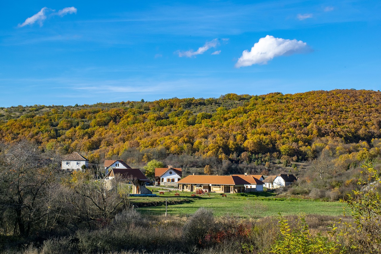 , Nemokamos Nuotraukos,  Nemokama Licenzija