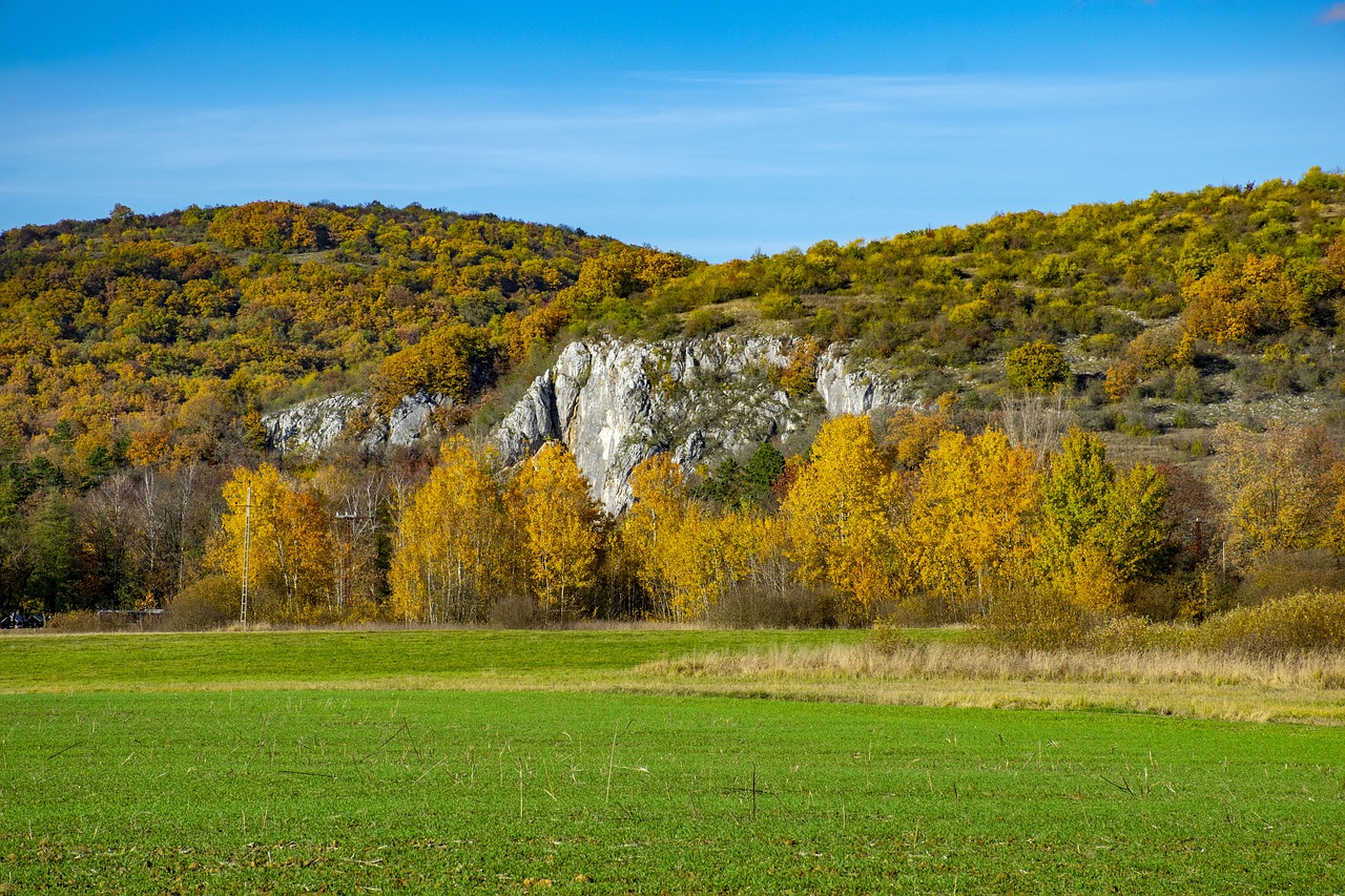 , Nemokamos Nuotraukos,  Nemokama Licenzija