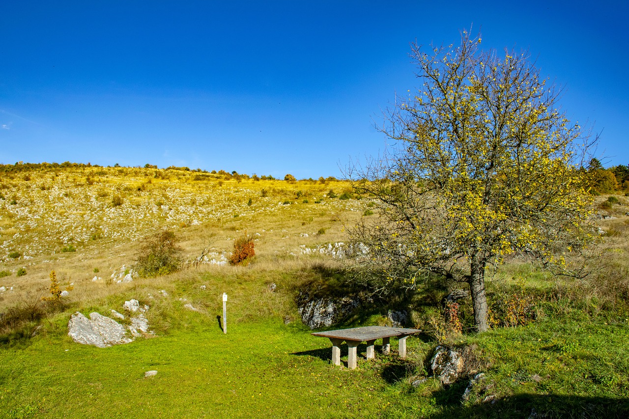 , Nemokamos Nuotraukos,  Nemokama Licenzija