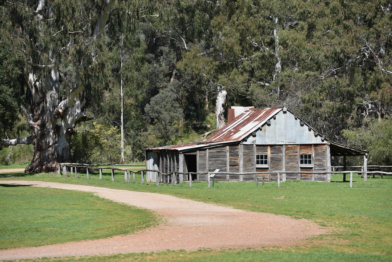 Namelis, Gyvulių Namelis, Keptuvės Aukštuma, Krūmas, Australia, Shack, Nemokamos Nuotraukos,  Nemokama Licenzija