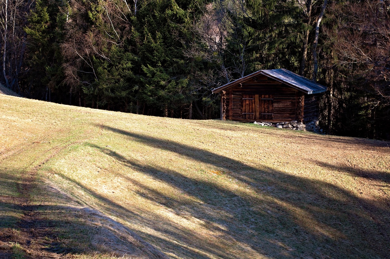 Namelis,  Rąstinis,  Meadow,  Pavasaris,  Mediena,  Pobūdį,  Medis,  Kraštovaizdis,  Panorama, Nemokamos Nuotraukos