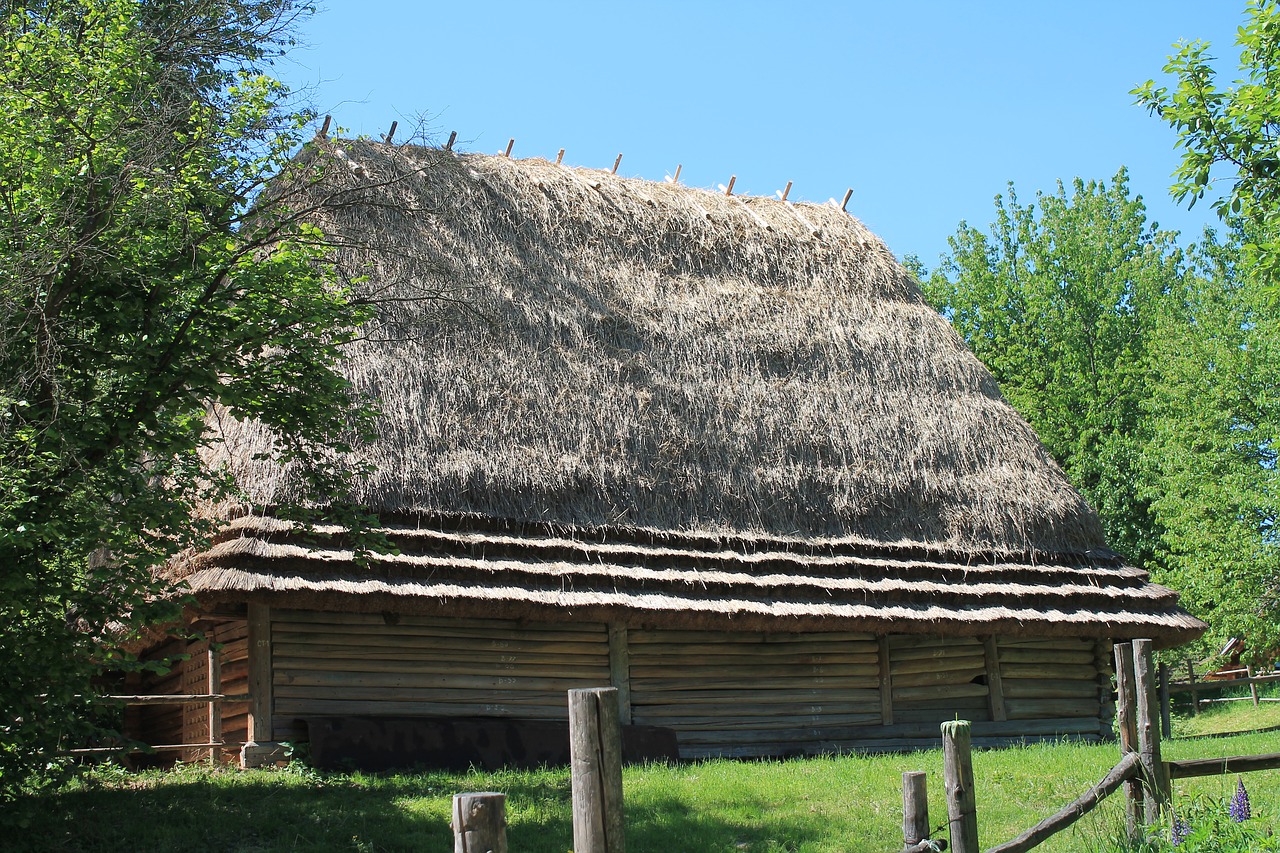 Сельская хата. Соломенная крыша избы. Изба и хата. Украинская хатка.
