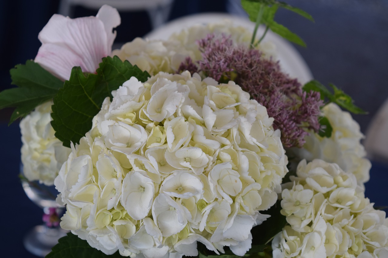 Hortenzija, Vestuvių Gėlės, Balta Hydrangea, Gėlių, Išdėstymas, Nemokamos Nuotraukos,  Nemokama Licenzija