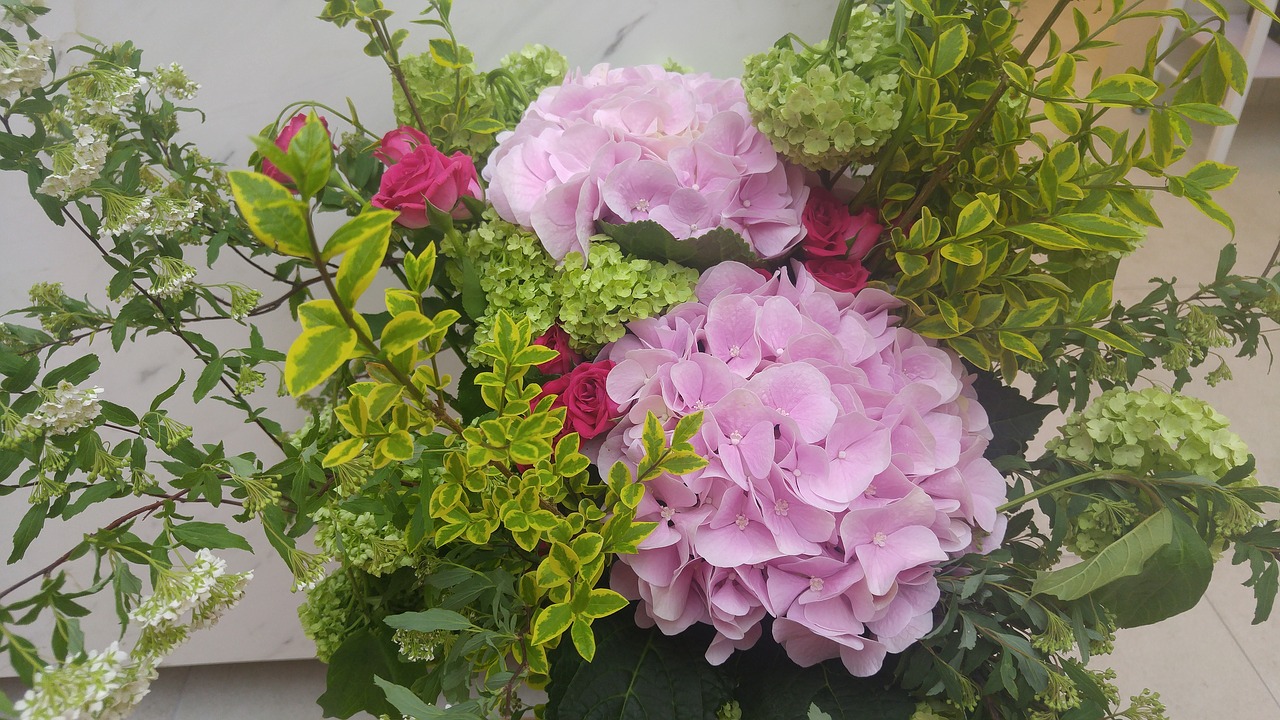 Hortenzija, Ikebana, Gėlių Vazos, Nemokamos Nuotraukos,  Nemokama Licenzija