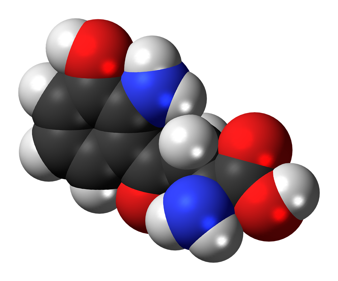 Hidroksikinureninas,  Molekulė,  Chemija,  Atomai,  Modelis,  Bondings,  Tyrimai,  Junginys,  Aromatiniai, Nemokamos Nuotraukos