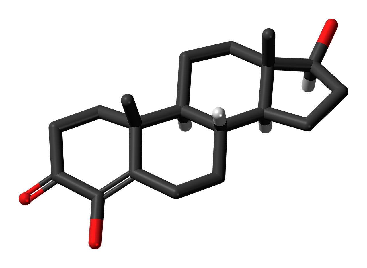 Hidroksistosterosteronas,  Steroidas,  Molekulė,  Chemija,  Atomai,  Modelis,  Bondings,  Tyrimai,  Junginys, Nemokamos Nuotraukos