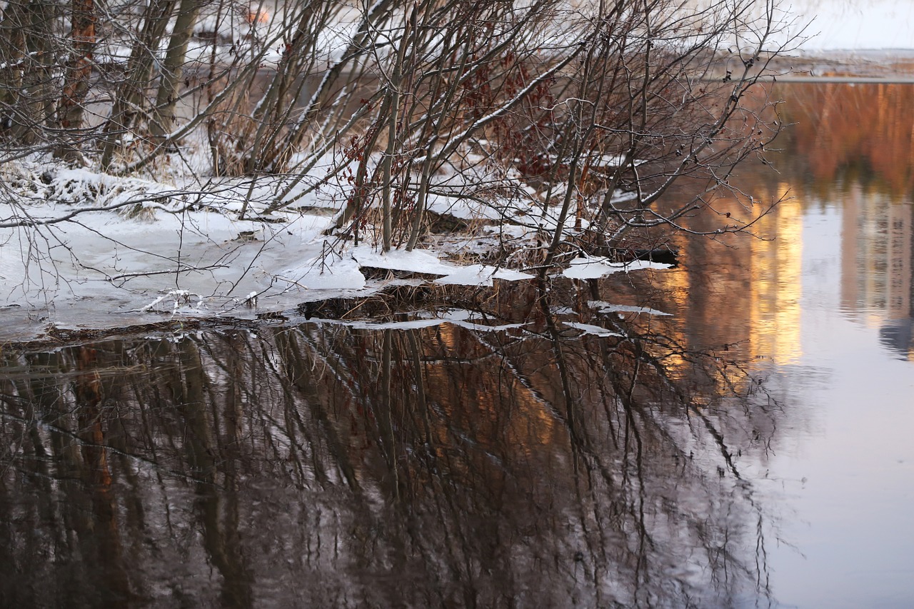 Ledas, Veidrodis, Medis, Namas, Nemokamos Nuotraukos,  Nemokama Licenzija