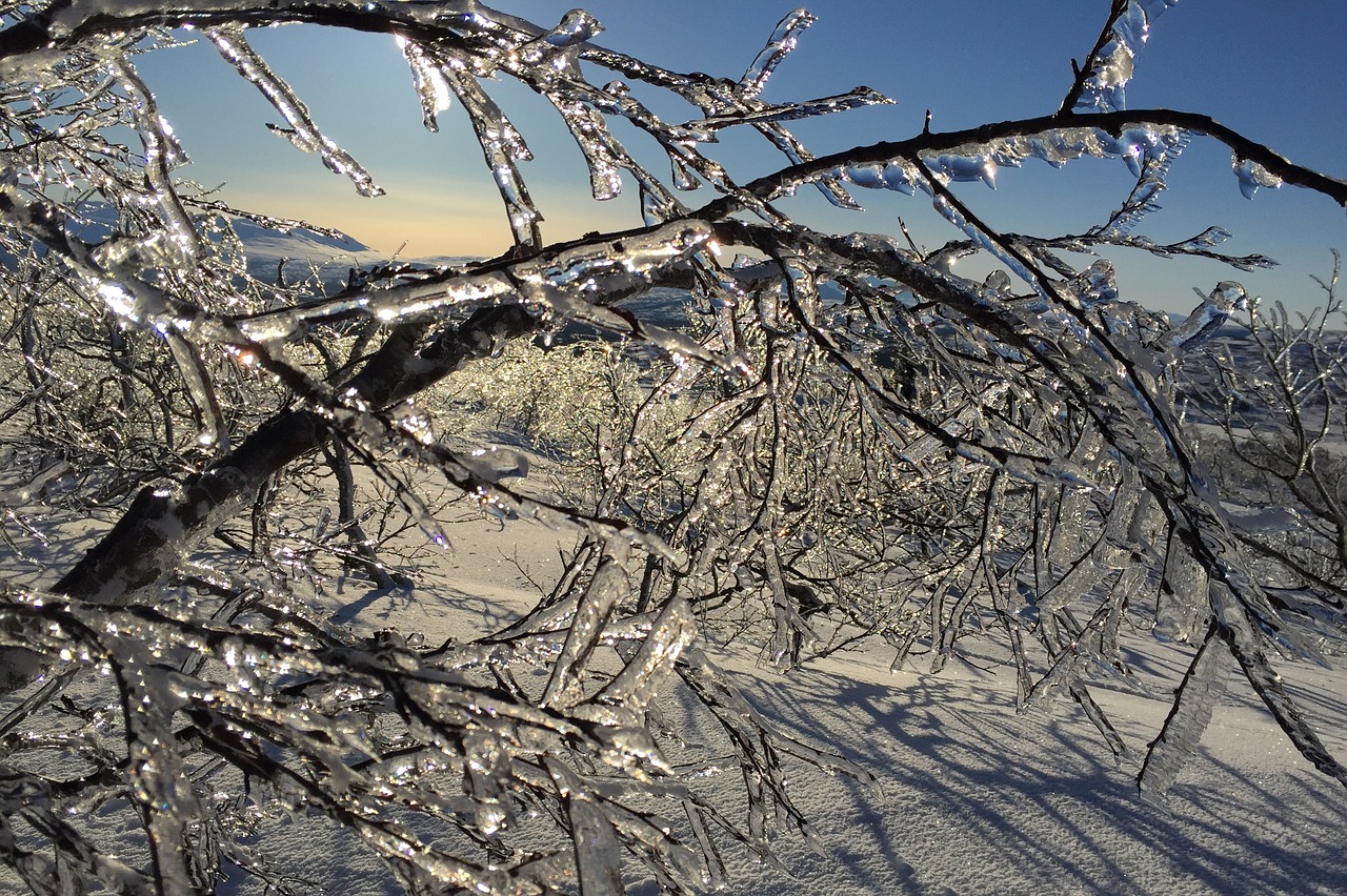 Ledas, Varveklių, Sniegas, Kerta, Jämtland, Storlien, Saulės Energija, Sušaldyta, Šaltas, Varveklių