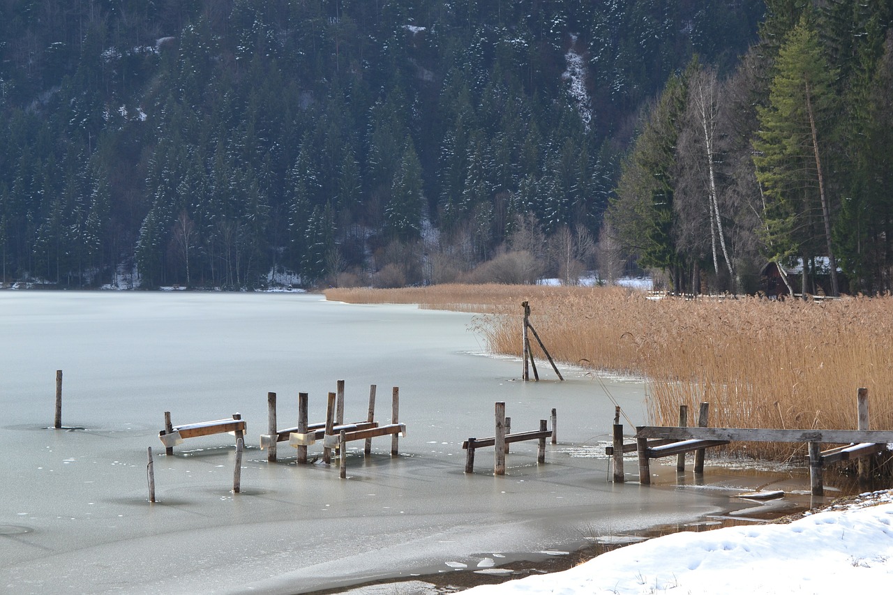 Ledas, Ežeras, Žiema, Nendrė, Allgäu, Ežeras Žiemą, Ledas, Sušaldyta, Šaltas, Ledinis