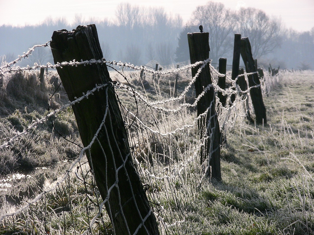 Ledas, Žiema, Tvora, Šaltas, Auskaras, Žiemą, Nemokamos Nuotraukos,  Nemokama Licenzija