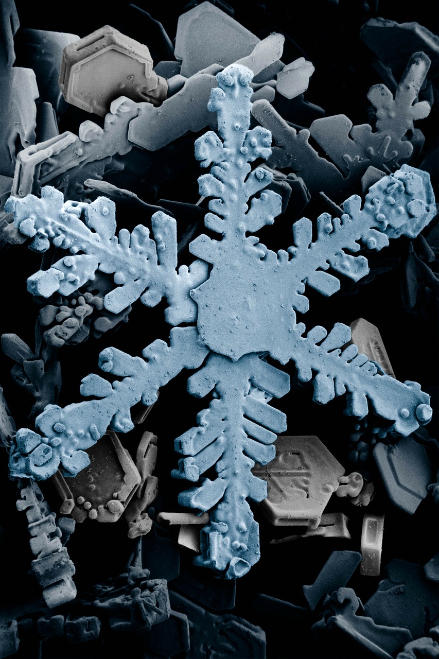 Ledo Kristalas, Kristalai, Sniegas, Ledas, Sniego Kristalai, Vandens Kristalai, Kristalinė Forma, Forma, Šešiakampis, Elektronų Mikroskopija