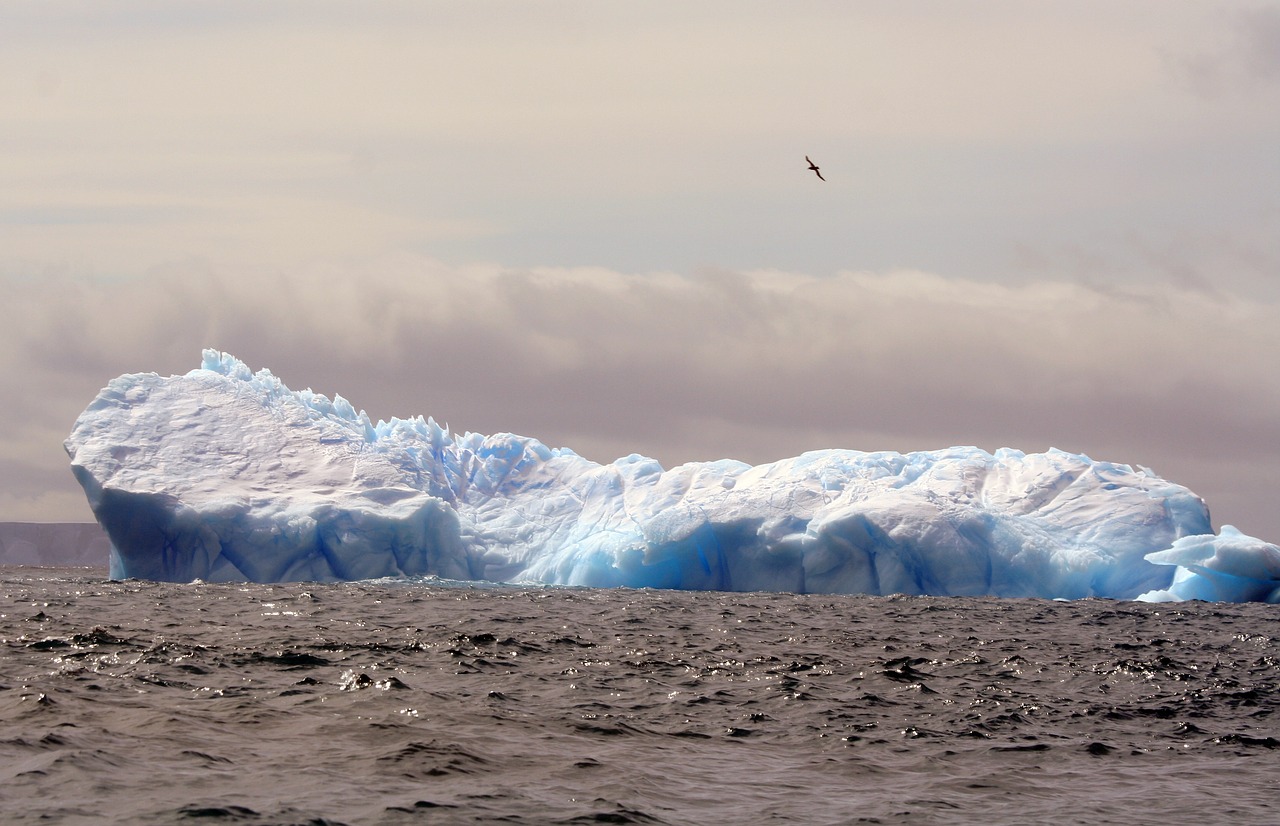 Ledkalnis, Antarctica, Ledas, Šaltas, Vandenynas, Sušaldyta, Nemokamos Nuotraukos,  Nemokama Licenzija