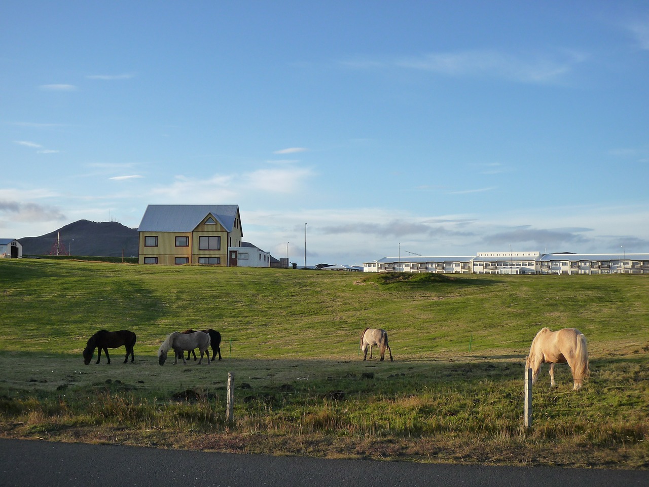 Iceland, Gamta, Arkliai, Kraštovaizdis, Nemokamos Nuotraukos,  Nemokama Licenzija