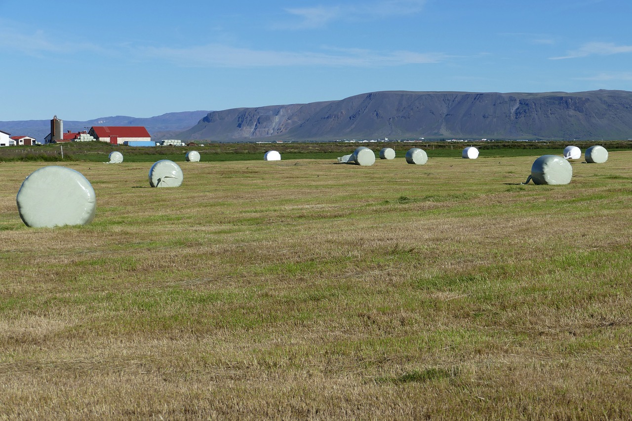 Iceland, Kraštovaizdis, Gamta, Kalnai, Žemdirbystė, Derlius, Šienas, Šieno Ryšulius, Nemokamos Nuotraukos,  Nemokama Licenzija