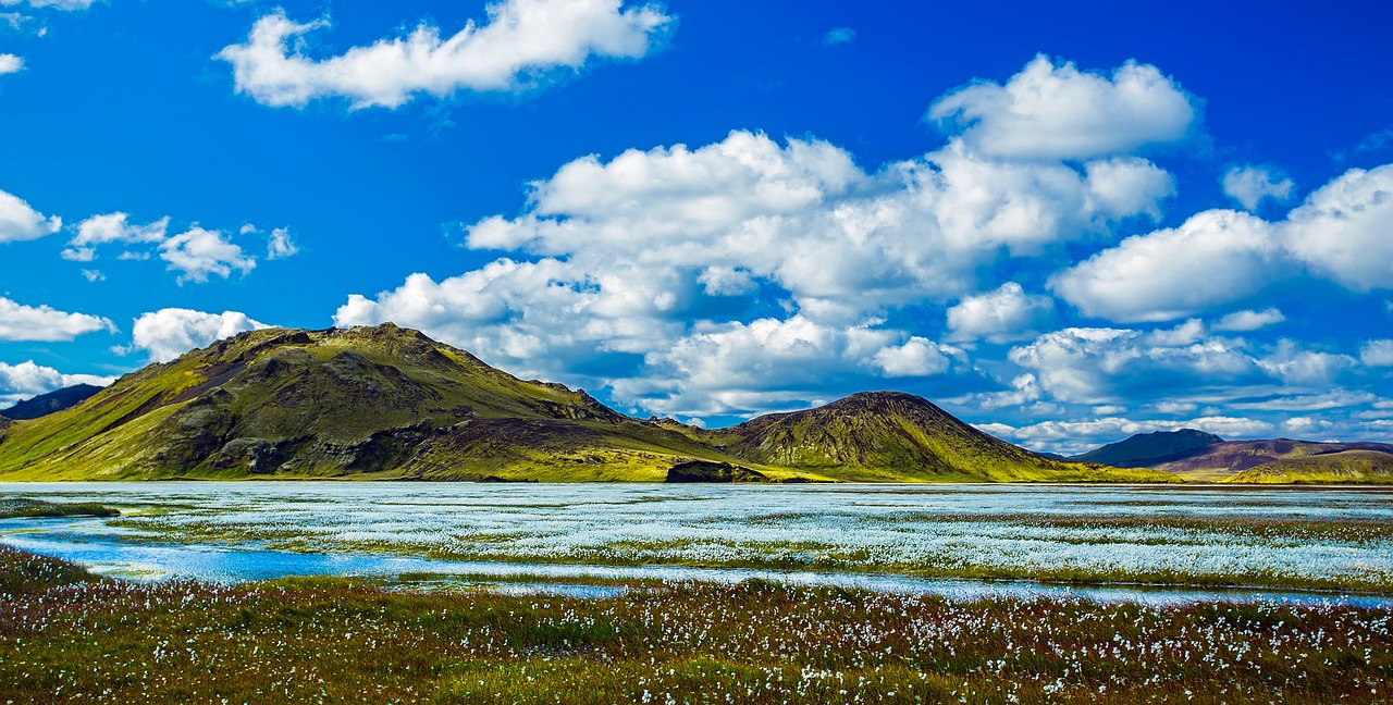 Iceland, Panorama, Kalnai, Dangus, Debesys, Upė, Ežeras, Fjordas, Gėlės, Laukinės Vasaros Spalvos