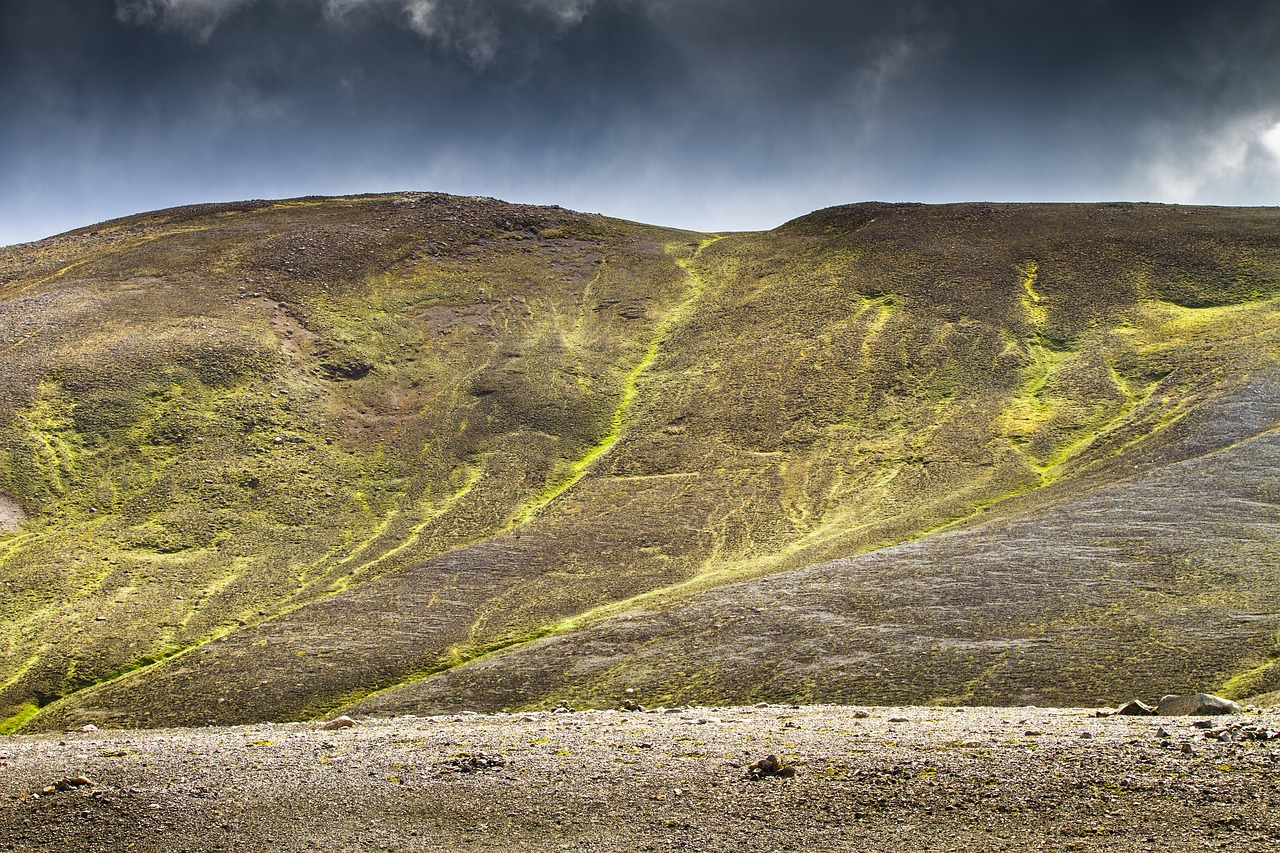 Iceland, Kalnuose, Žalias, Ruda, Samanos, Nemokamos Nuotraukos,  Nemokama Licenzija