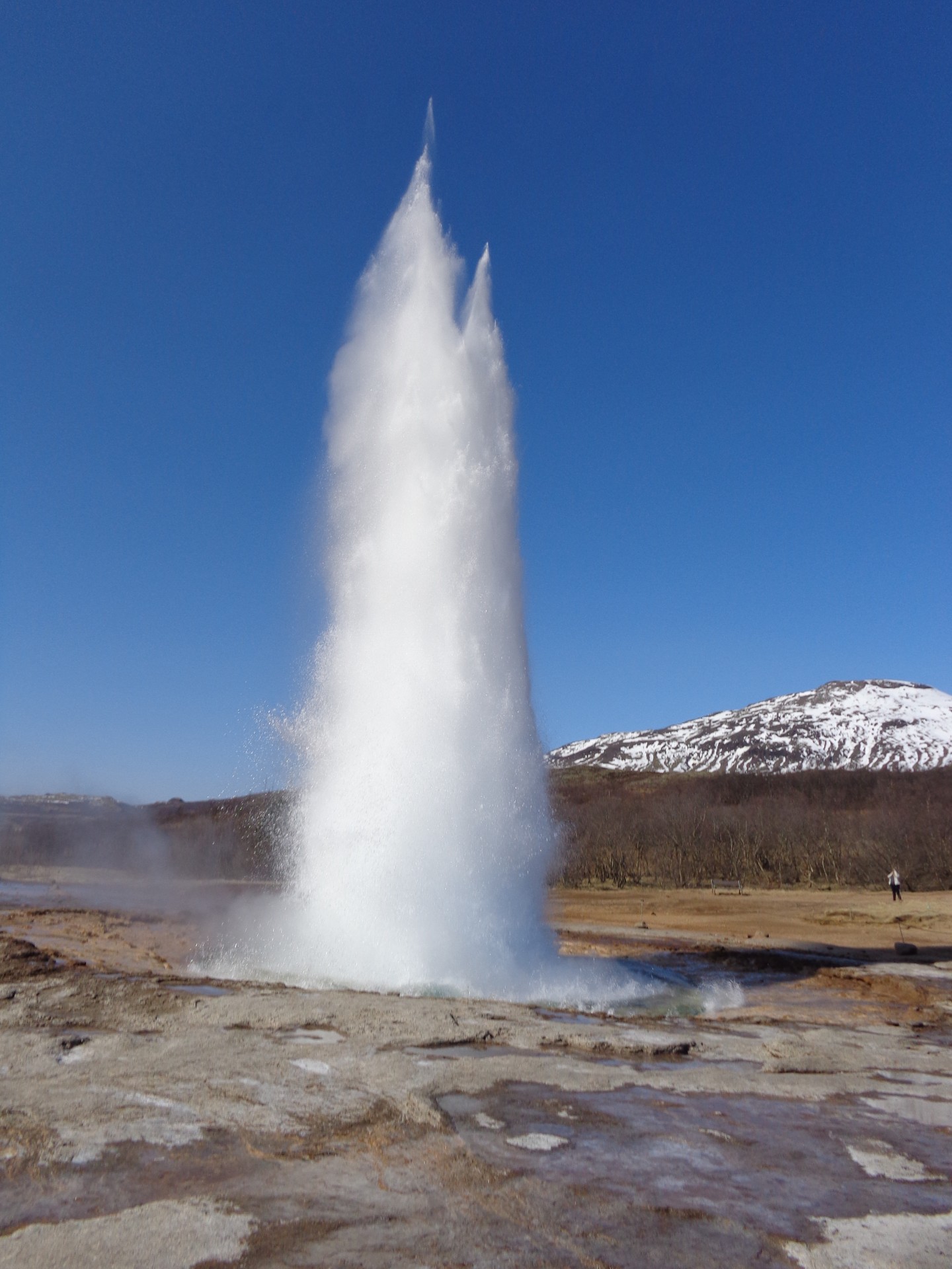 Iceland,  Geizeris,  Islandijos Geizeris, Nemokamos Nuotraukos,  Nemokama Licenzija