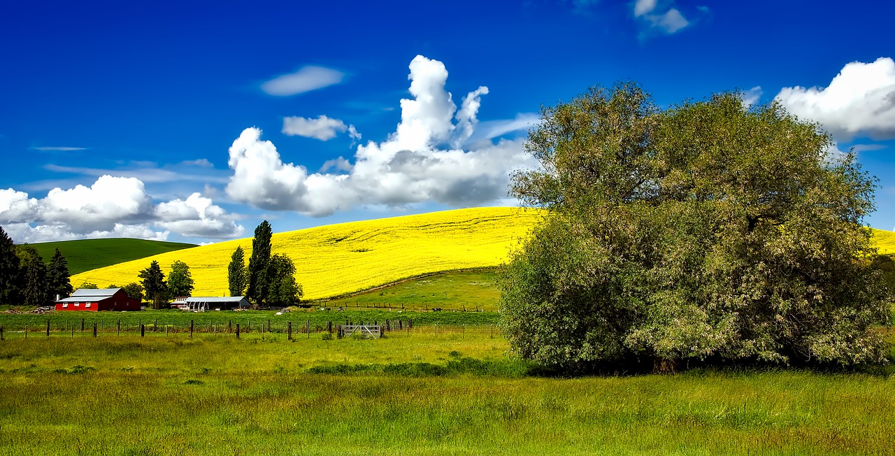 Idaho, Ūkis, Panorama, Laukai, Pieva, Žemės Ūkio Paskirties Žemė, Dangus, Debesys, Tvartas, Gamta