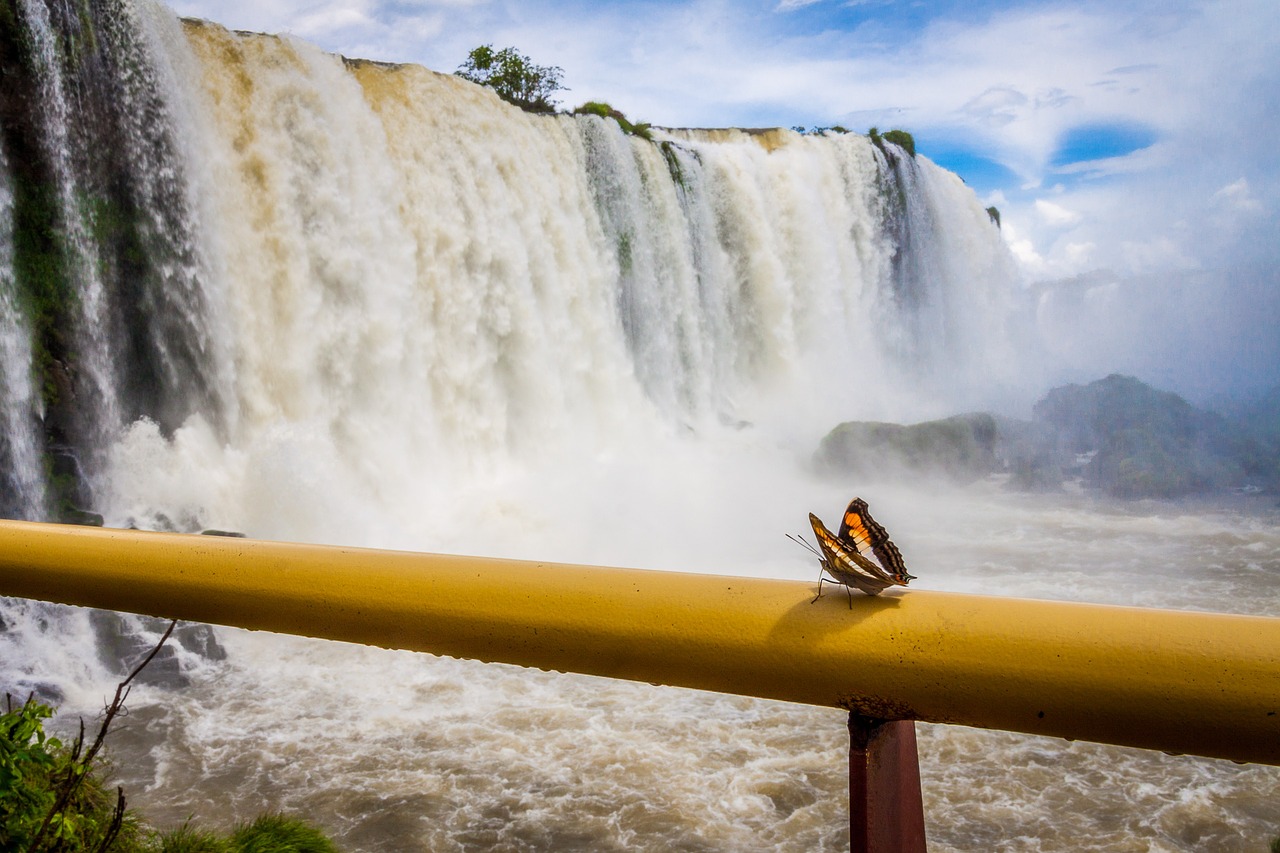 Iguazu, Iguacu, Kritimo, Krioklys, Drugelis, Brazilija, Gamta, Upė, Į Pietus, Amerikietis