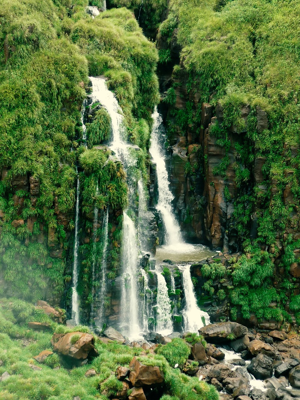 Iguazu,  Krioklys,  Kaskados,  Brazilija,  Nacionalinis Parkas,  Gamta,  Upė,  Samanos,  Stogas,  Stebuklinga