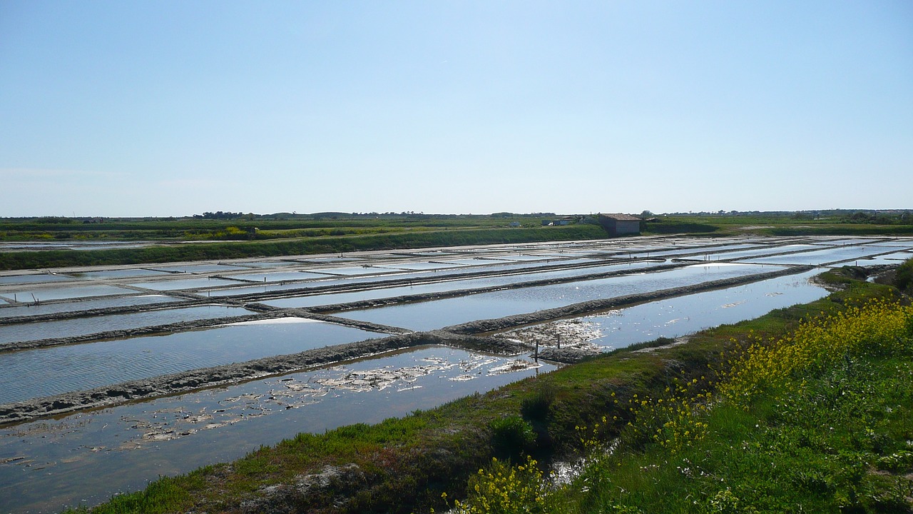 Ile De Ré, Druskinė, Gamta, Vanduo, Skystas, Kraštovaizdis, Žemė, Dangus, Mėlynas, Laukai