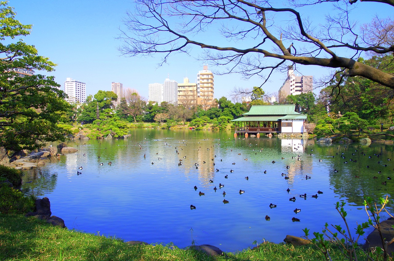 清澄 庭園, Ežeras, Japonija, Dangus, Vanduo, Natūralus, Tyla, Rytas, Vandens Paviršius, Kraštovaizdis