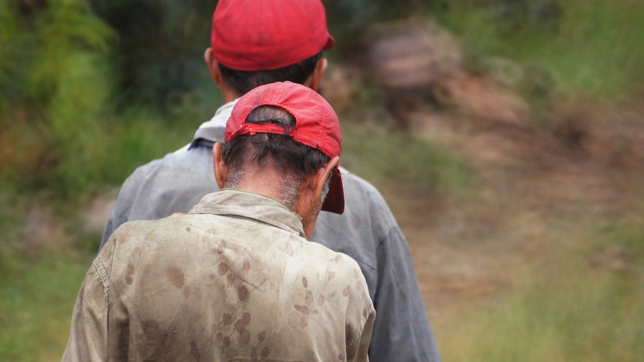 Vaizdai, Plotas, Cafatera, Quindio, Nemokamos Nuotraukos,  Nemokama Licenzija