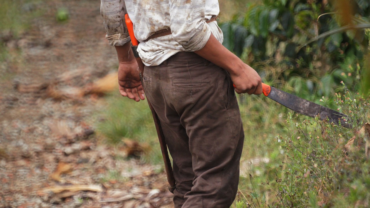 Vaizdai, Plotas, Cafatera, Quindio, Nemokamos Nuotraukos,  Nemokama Licenzija