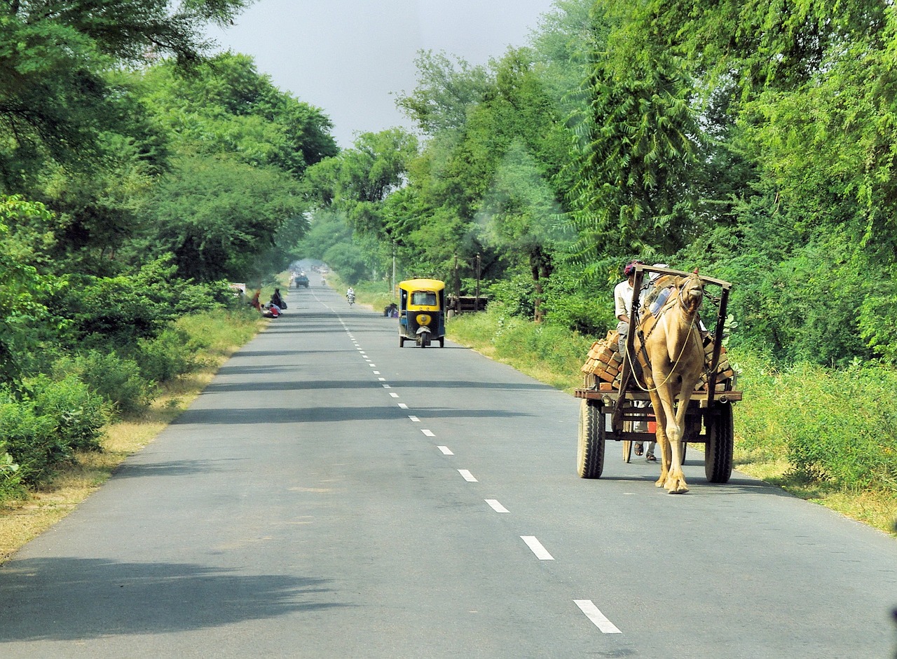 Indija, Kelionė, Transportas, Rajasthan, Dromedary, Charette, Nemokamos Nuotraukos,  Nemokama Licenzija