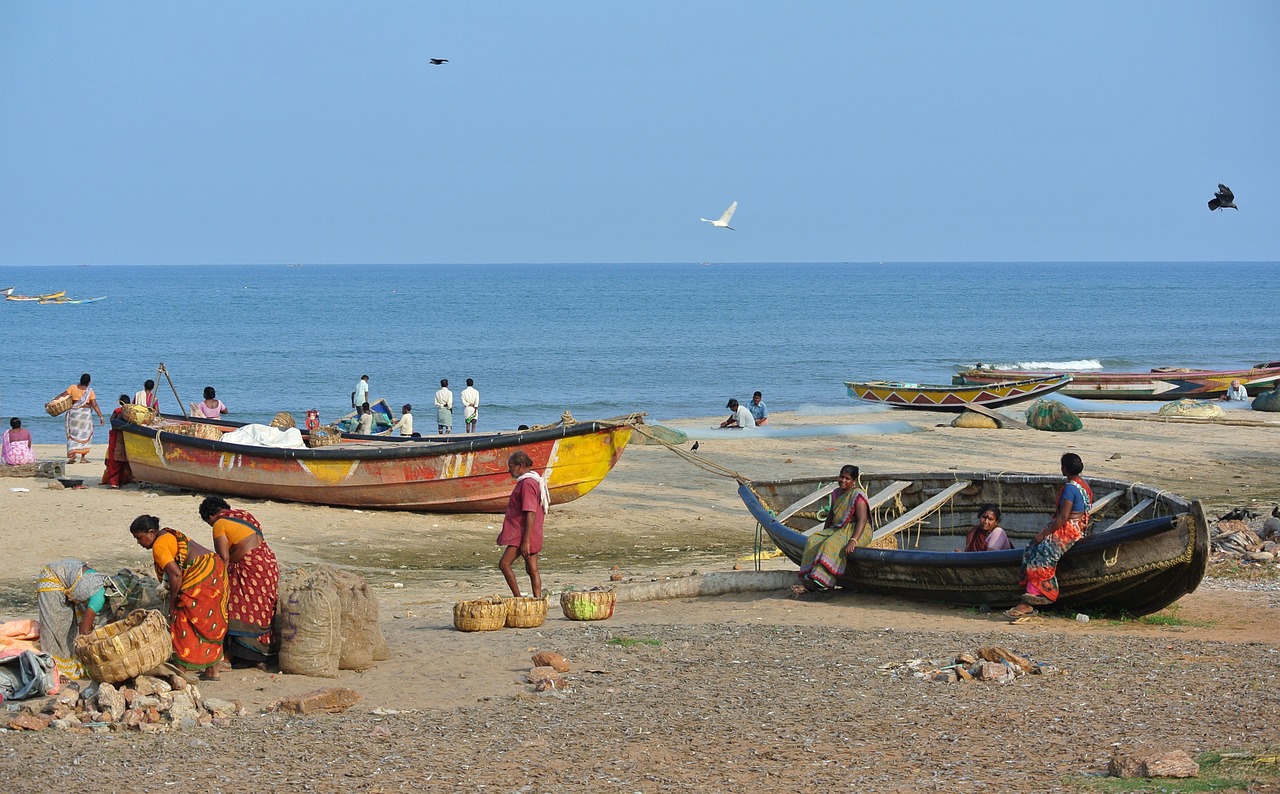 Indija, Fisherfolk, Žvejyba, Žuvis, Darbo, Valtys, Papludimys, Darbas, Vanduo, Vandenynas