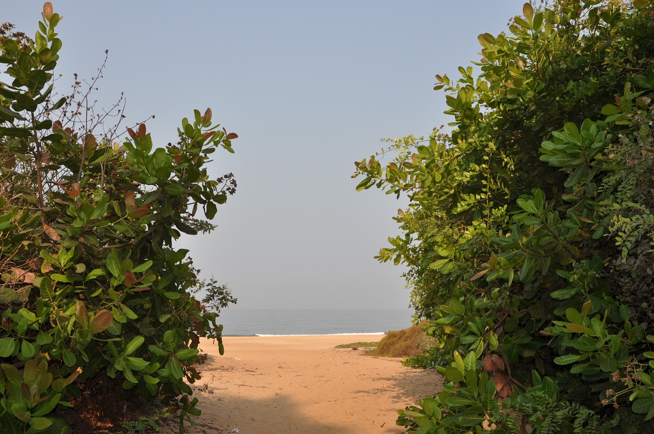 Indija, Goa, Kelias Į Paplūdimį, Nemokamos Nuotraukos,  Nemokama Licenzija