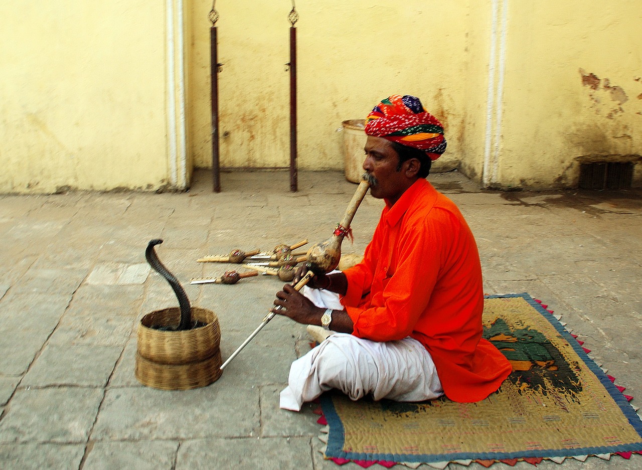 Indija, Jaipur, Gyvatė Charmer, Nemokamos Nuotraukos,  Nemokama Licenzija