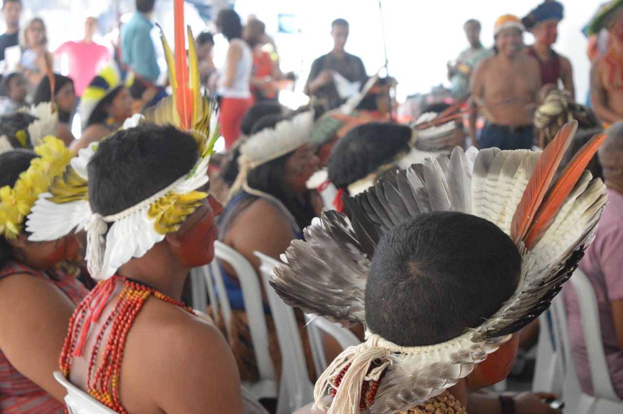 Indėnai, Kultūra, Panache, Žmonės, Kilę Iš, Brazilija, Tradicijos, Ritualai, Nemokamos Nuotraukos,  Nemokama Licenzija