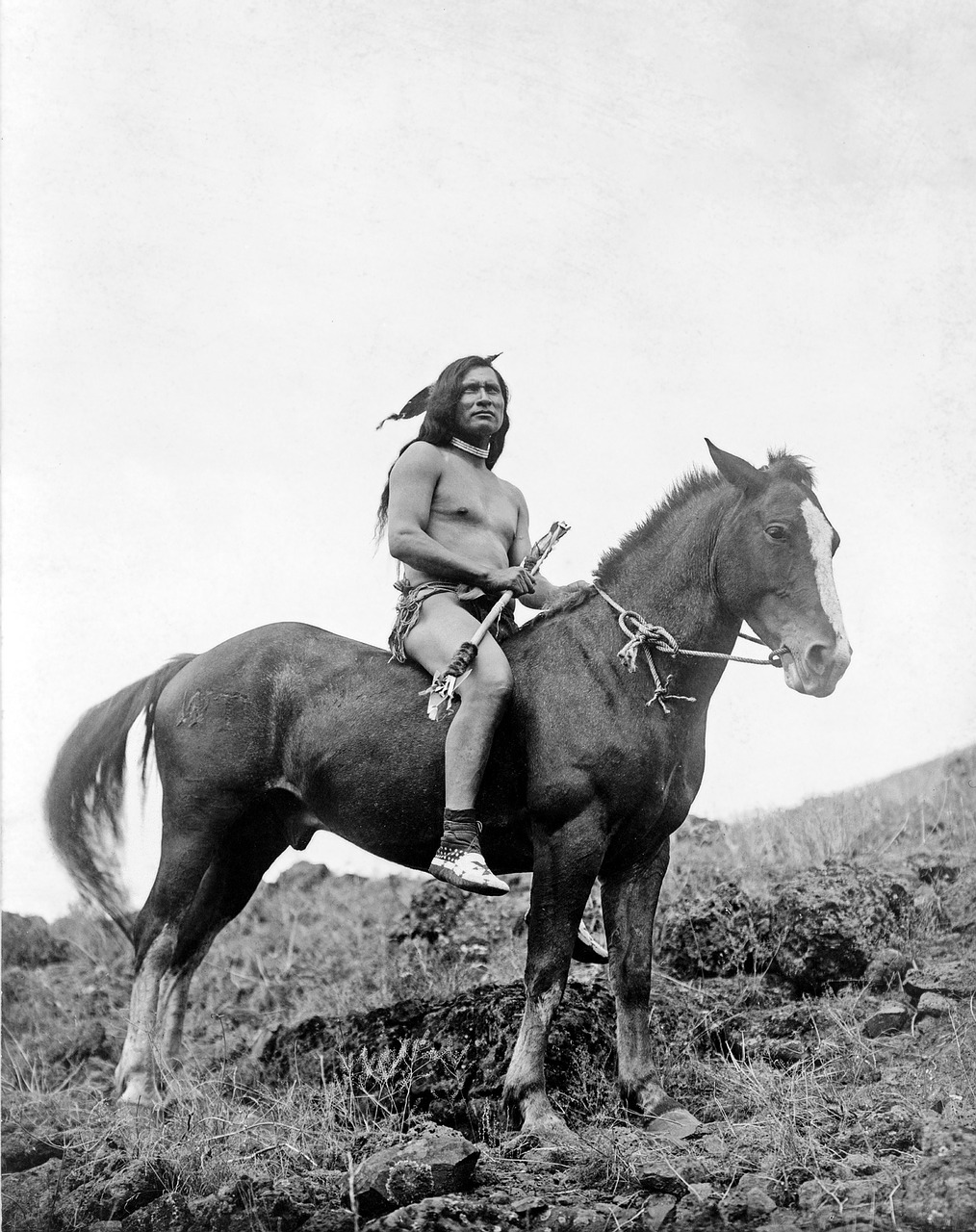 Indėnai, Karys, Reiter, Indėnas, Apache, Nez Perce, 1910, Juoda Ir Balta, Mokasinas, Nemokamos Nuotraukos