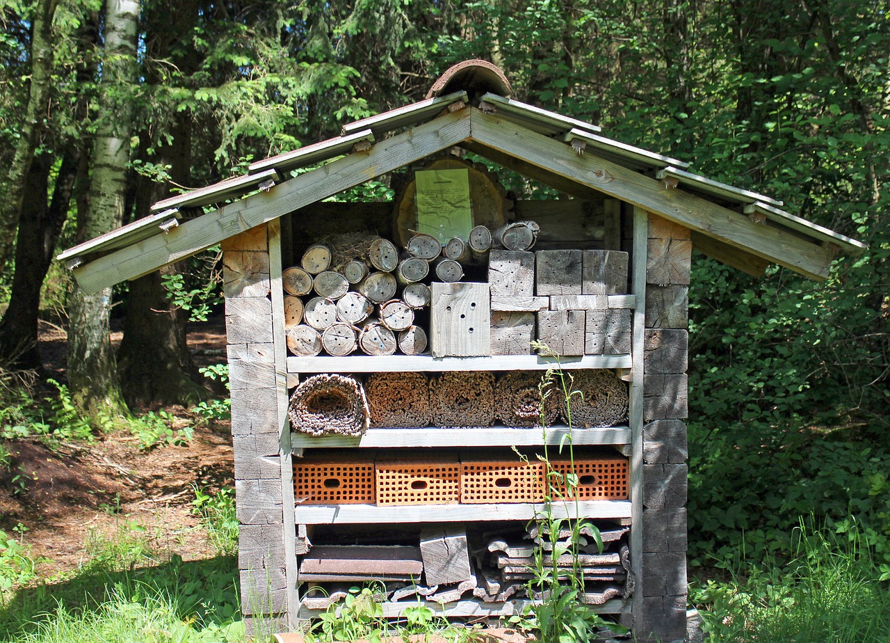 Vabzdžių Viešbutis, Lizdų Pagalba, Laukinės Bitės, Vabzdys, Bičių Viešbutis, Isps, Mokyklos Sodas, Veisimosi Pagalba, Ertmė, Gamta