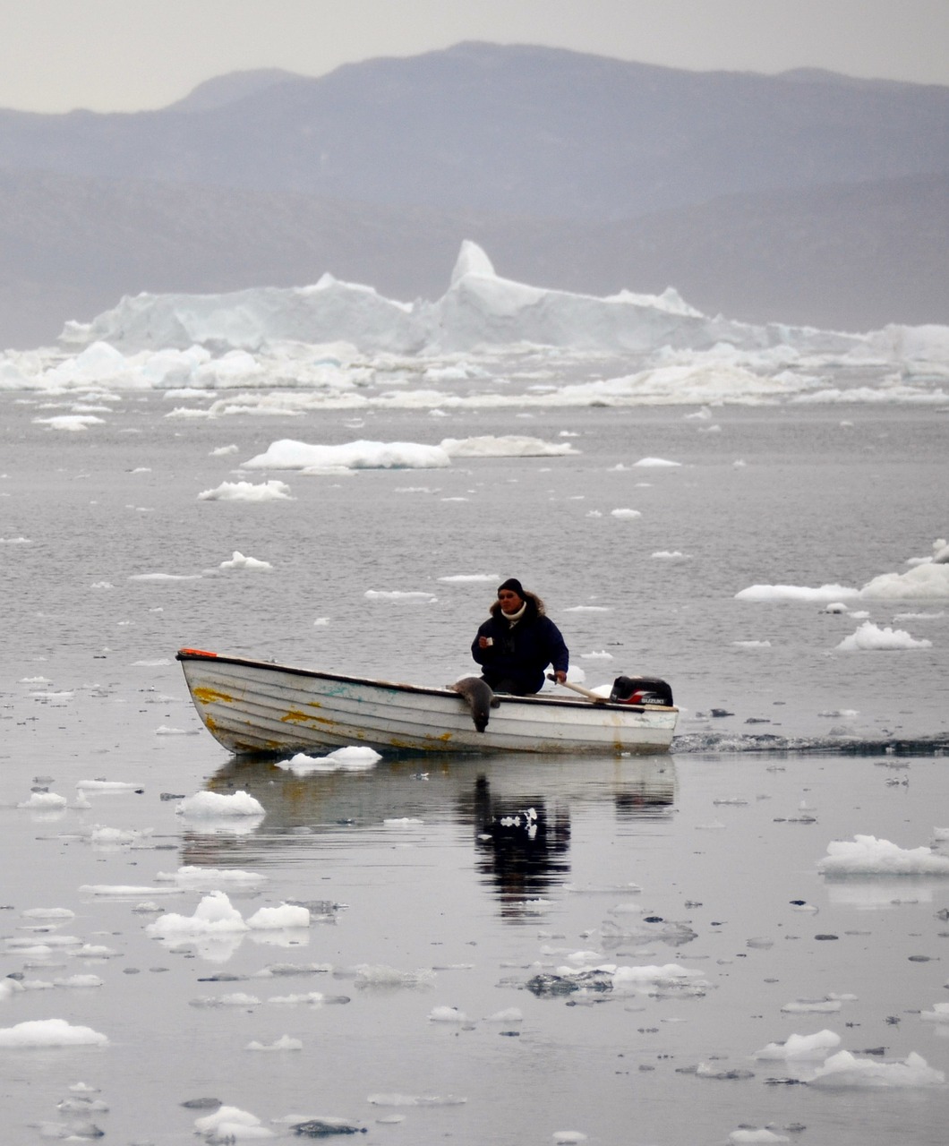 Inuit, Robbeno Medžiotojas, Icefjord, Grenlandija, Nemokamos Nuotraukos,  Nemokama Licenzija