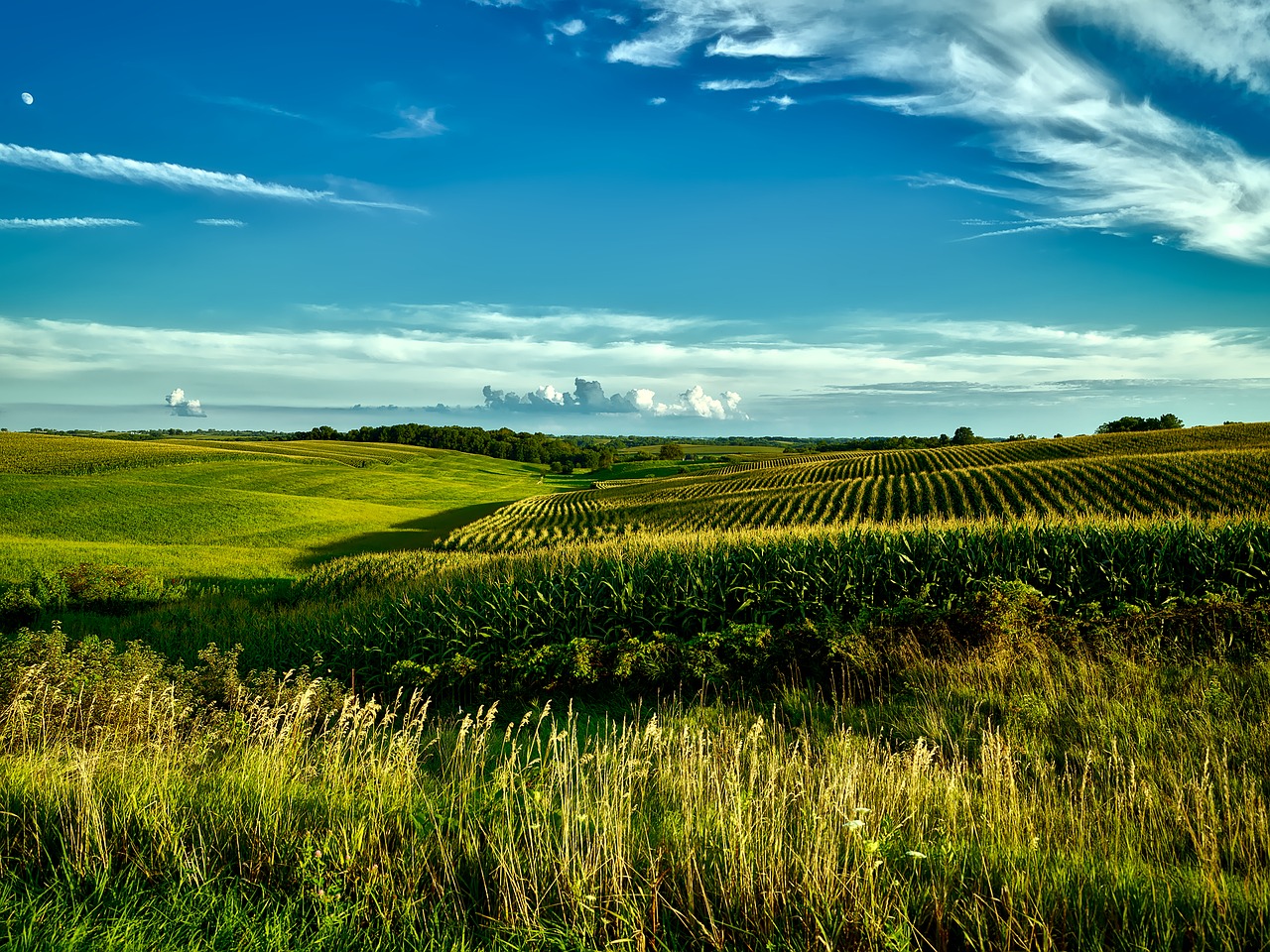 Iowa, Ūkis, Šalis, Kaimas, Kukurūzai, Grūdai, Pasėlių, Laukai, Žemdirbystė, Dangus