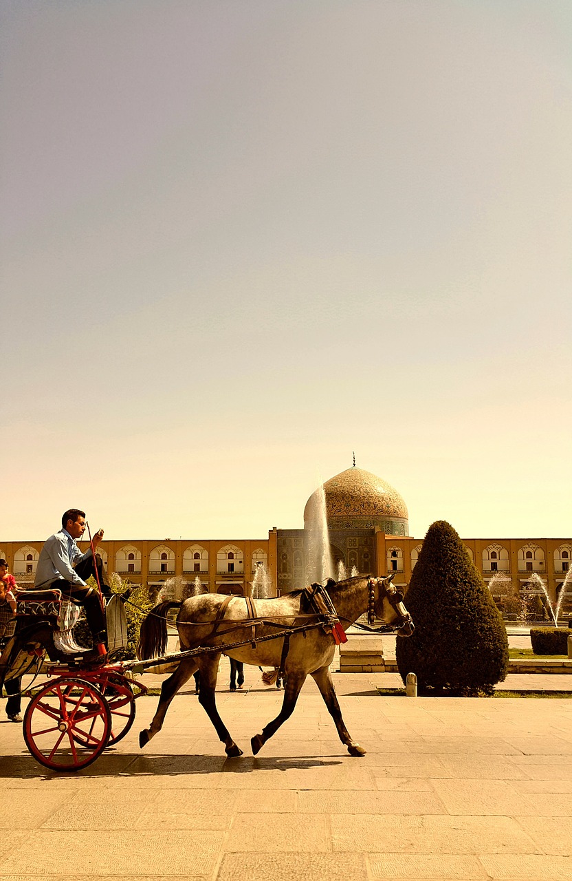 Iranas, Isfahan, Vežimas, Mečetė, Medis, Arklys, Šiltas, Nemokamos Nuotraukos,  Nemokama Licenzija