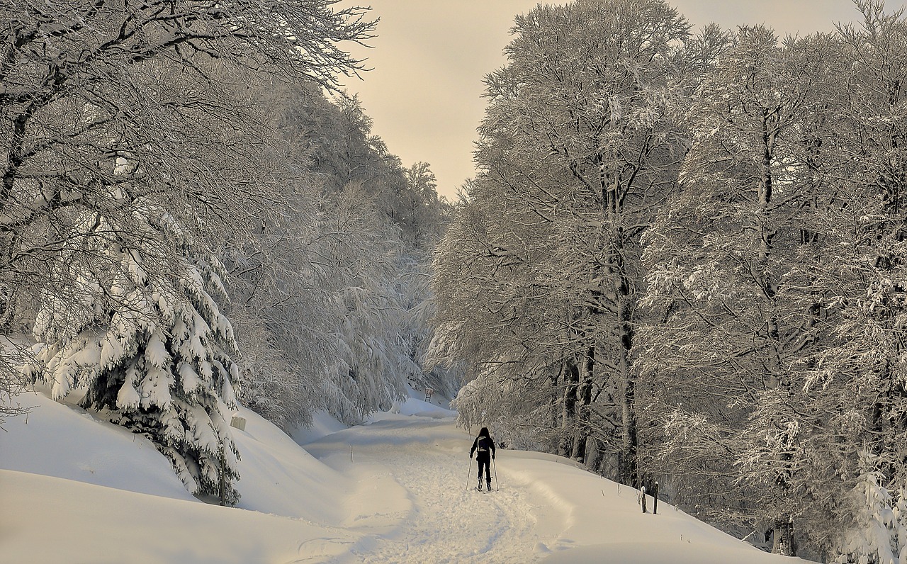 Irati, Sniegas, Miškas, Pirėnai, Medžiai, Dangus, Kalnas, Kraštovaizdis, Šaltas, Nevada