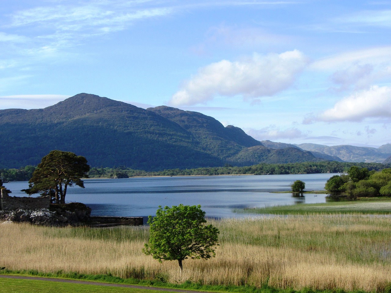 Airija,  Killarney,  Nacionalinis Parkas, Nemokamos Nuotraukos,  Nemokama Licenzija