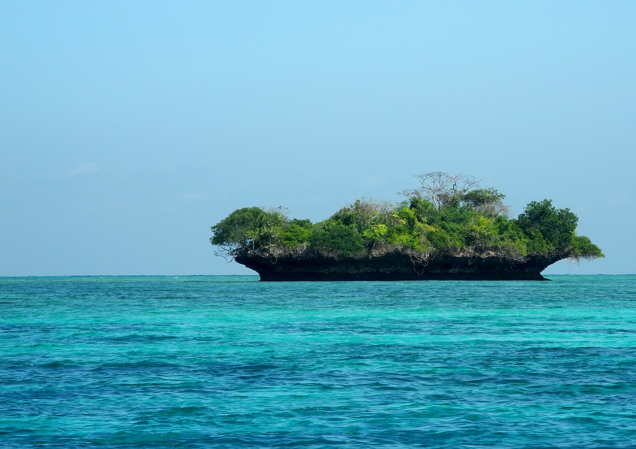 Sala, Zanzibaras, Vandenynas, Atostogos, Paskirties Vietos, Vanduo, Nemokamos Nuotraukos,  Nemokama Licenzija