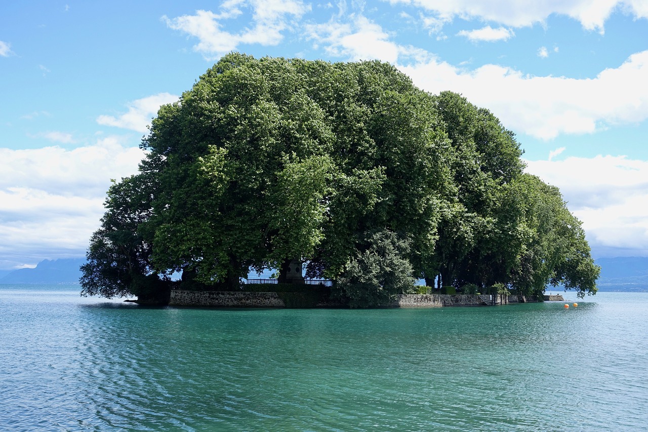 Sala,  Medis,  Vandens,  Pobūdį,  Vasara,  Lauke,  Kraštovaizdis,  Žalias,  Aplinka, Nemokamos Nuotraukos