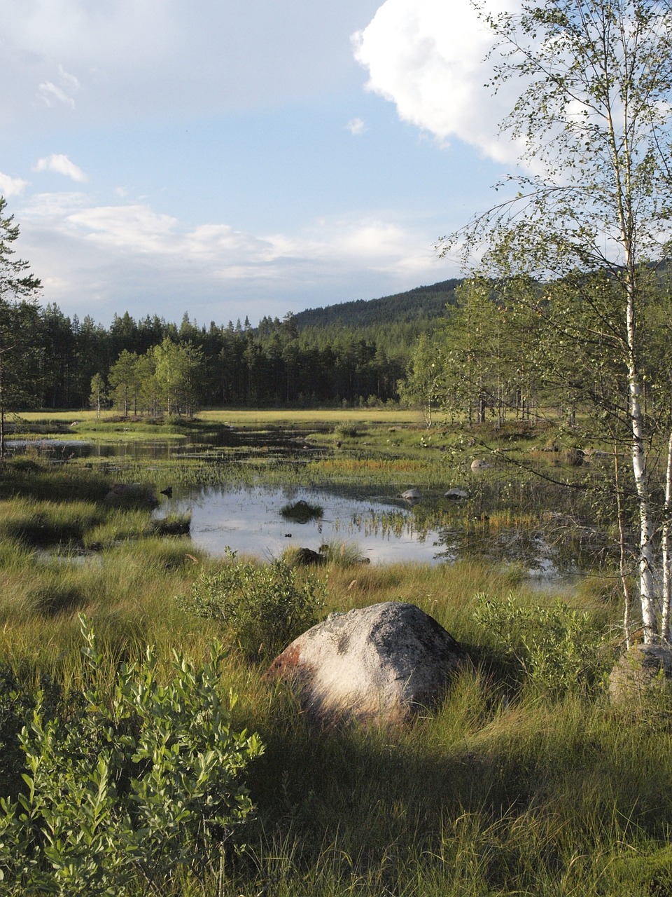 Sala, Švedija, Ežeras, Värmland, Nemokamos Nuotraukos,  Nemokama Licenzija